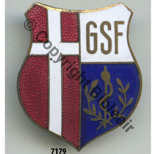GSF  Gpe SANITAIRE de SECTEUR FORTIFIE 13 AUGIS Src.grandspins13 350EurInv